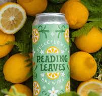 Belleflower Reading Leaves