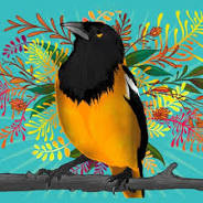 Tripping Animals Tropical Troupial