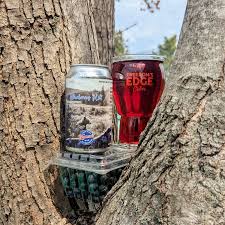 Freedom's Edge Cider Blueberry Hill