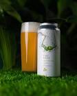 Trillium Brewing The Fens