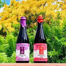 Orono Everlasting Farm Raspberry Orange Sour