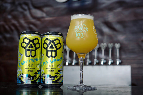 Bissell Brothers Baby Genius