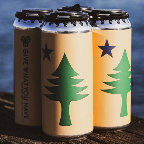 Bissell Brothers Give What You Have