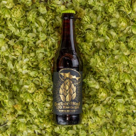 Dogfish 120 Minute IPA