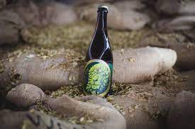 Jester King Noble King