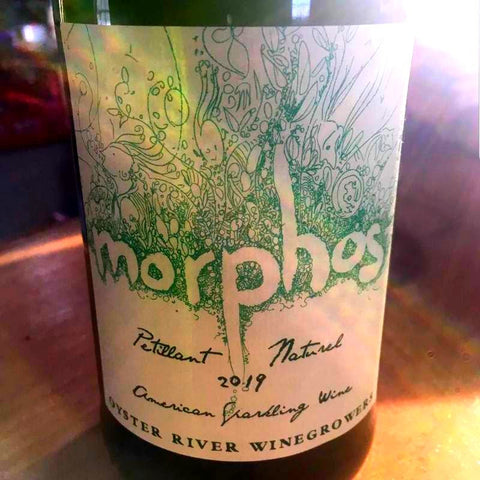 Oyster River Morphos